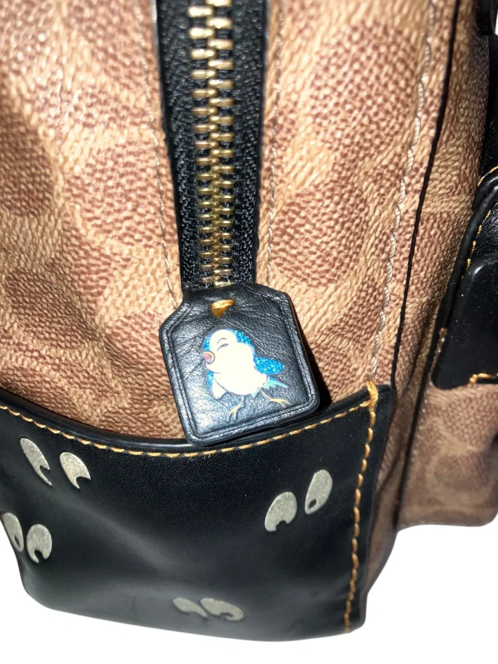 Coach disney limited